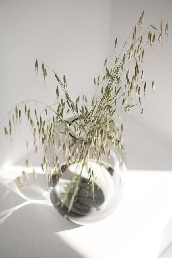 Zen Minimal Luxury Housing Tyros Villa Eksteriør bilde